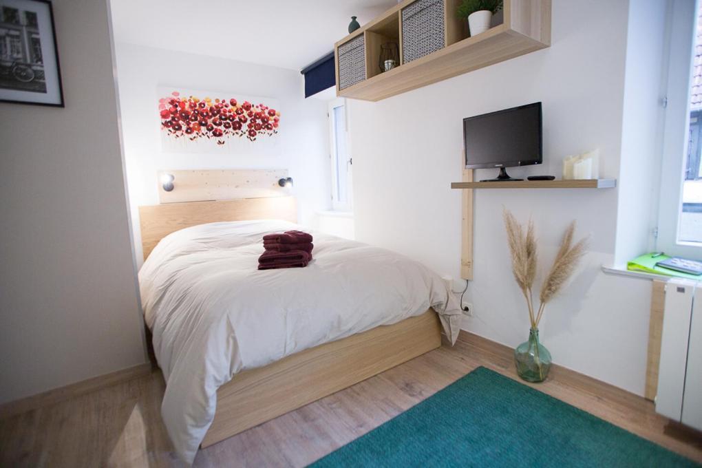 Studio Zone Pietonne A Saverne Bagian luar foto
